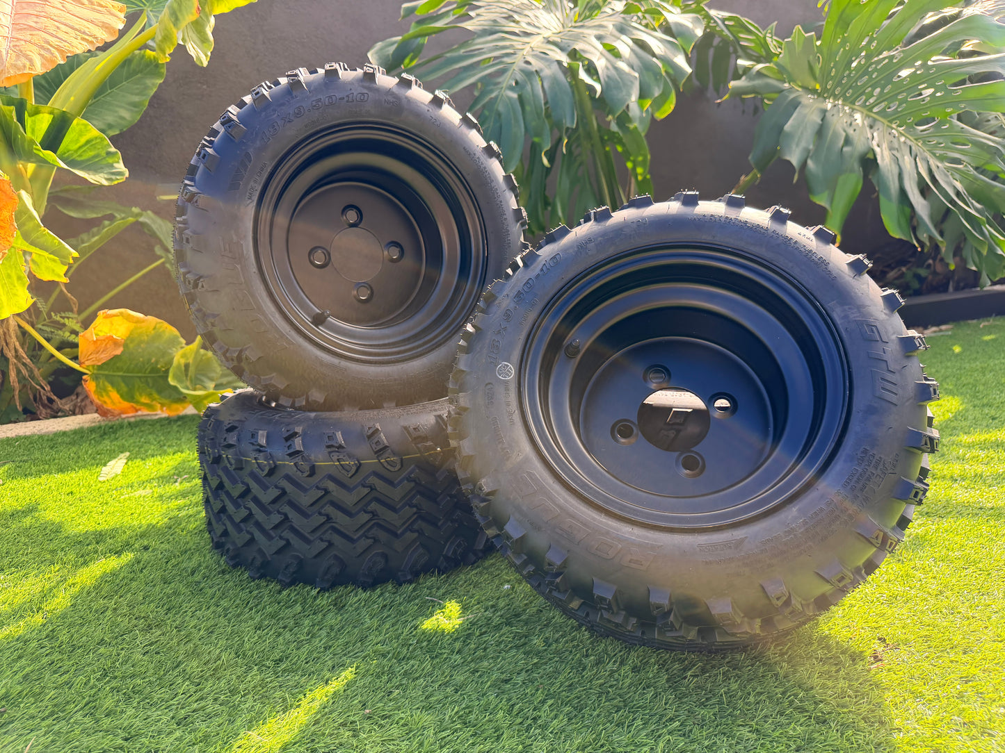 10" Rim and Tire Set