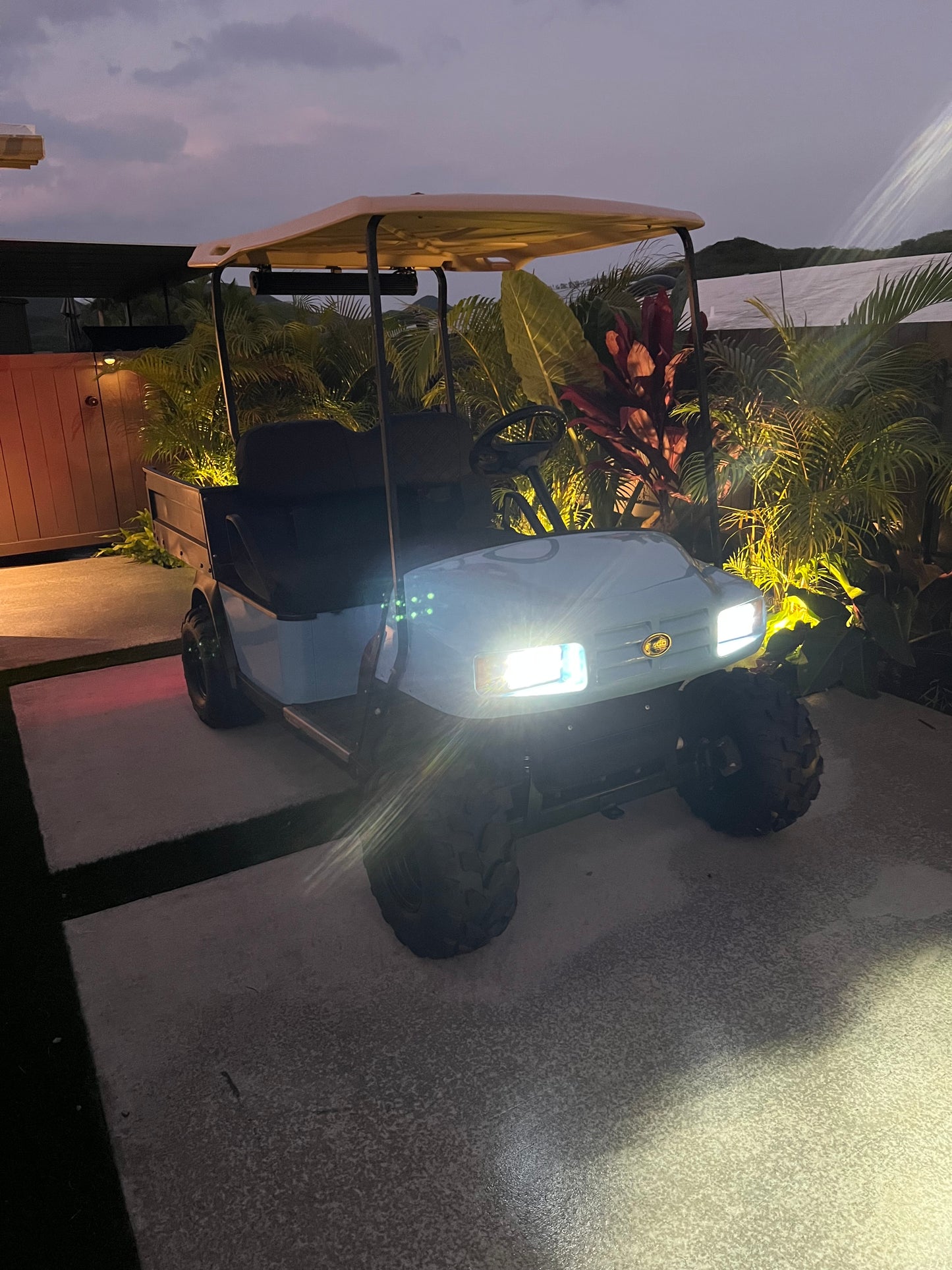 EZ-Go Golf Cart