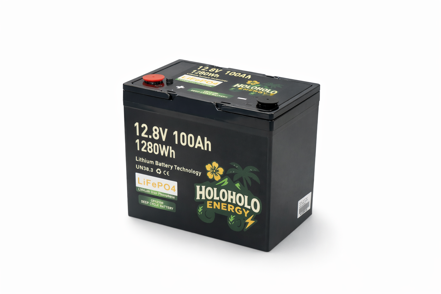12V 100Ah Lithium Battery