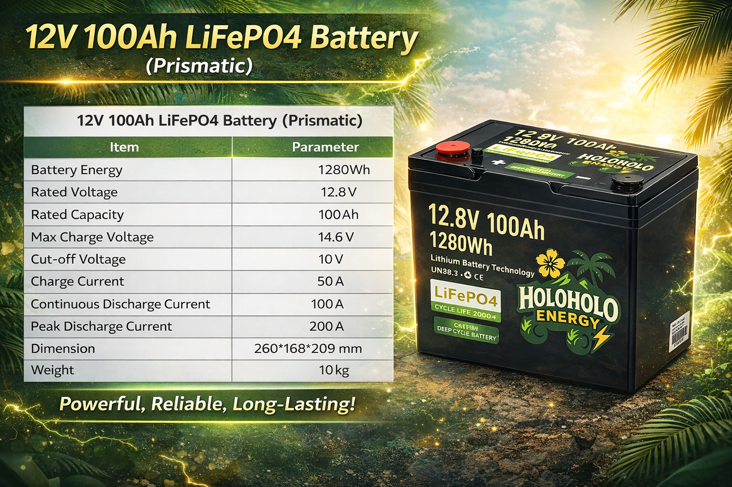 12V 100Ah Lithium Battery