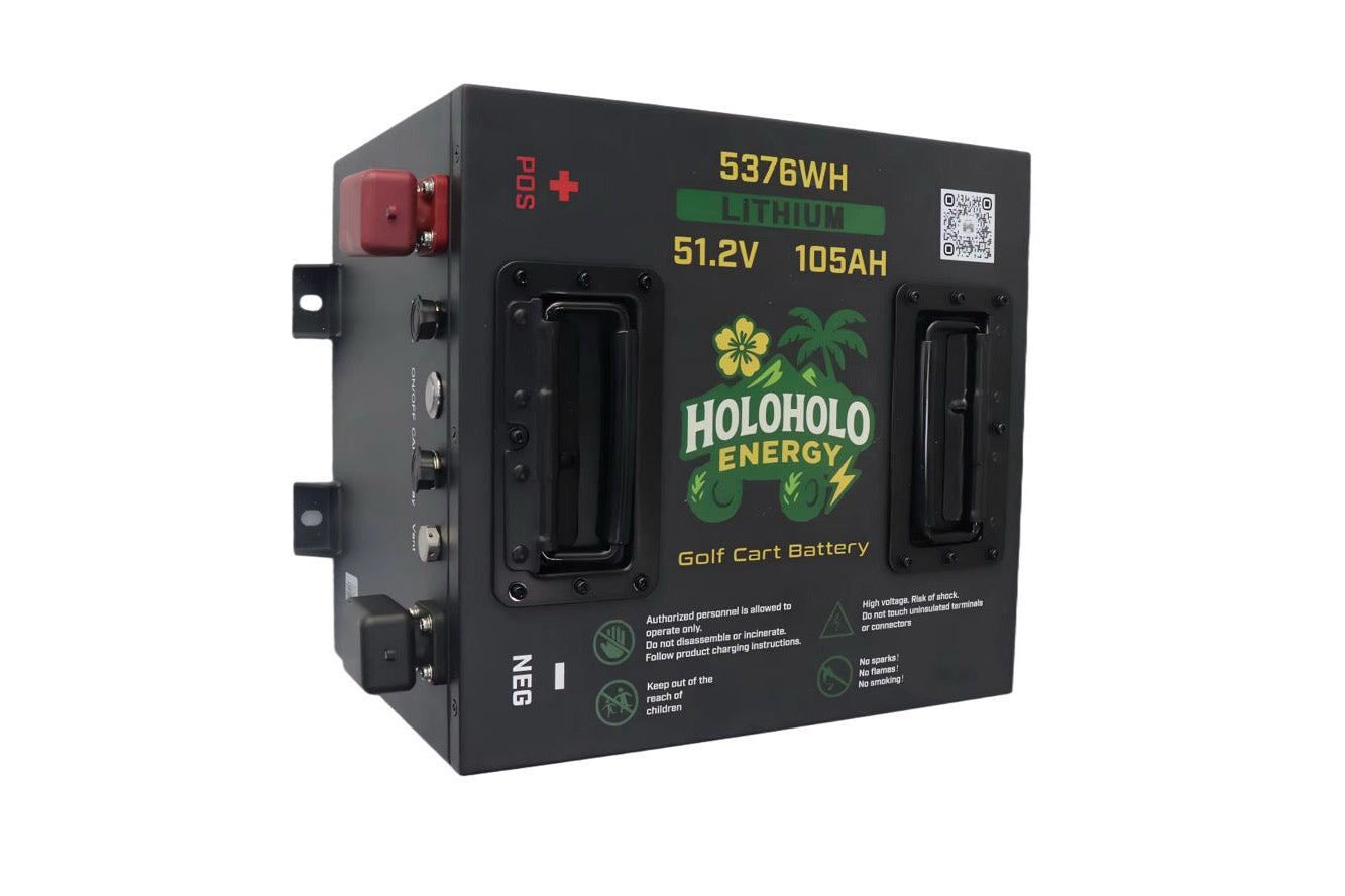 51.2V Lithium Battery Pack